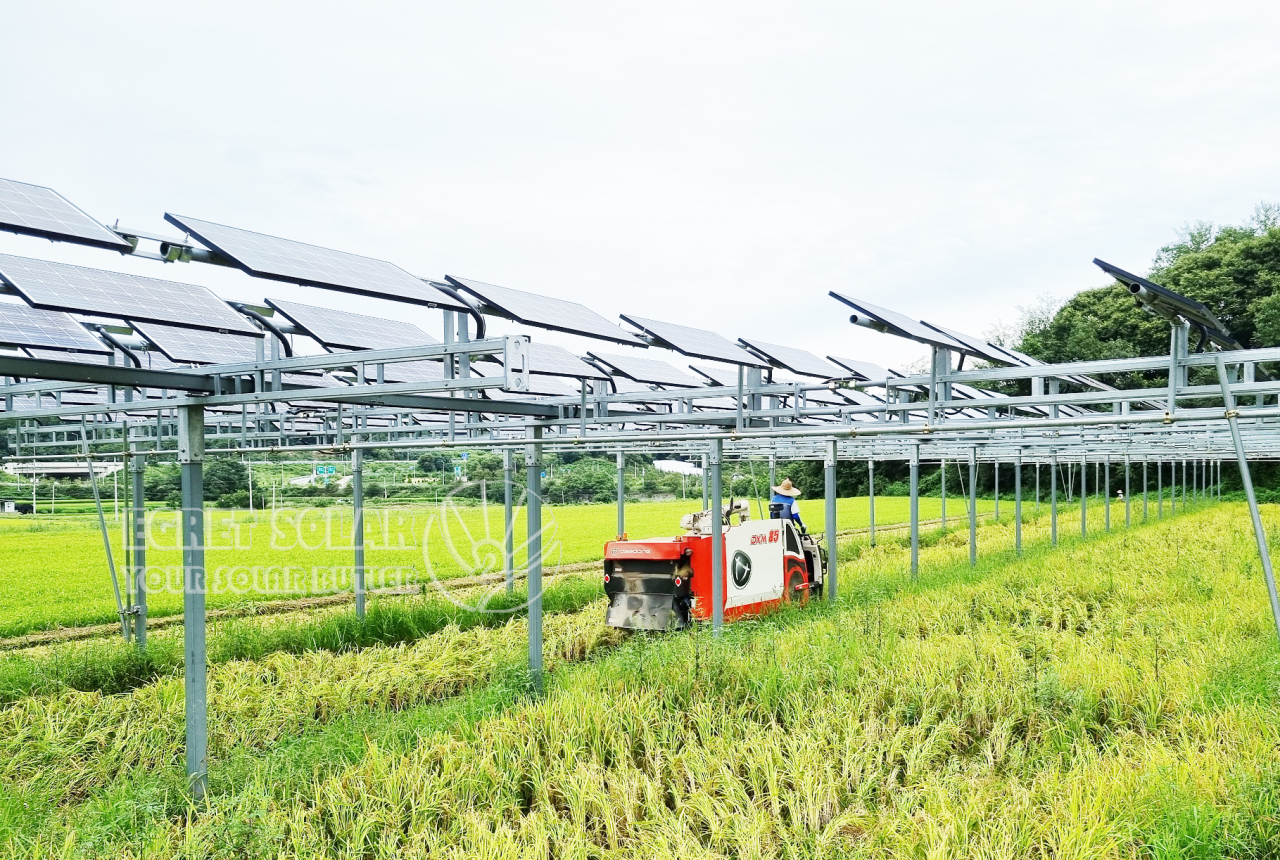 Aluminium Solar Agriculture Mounting Drives Sustainable Agriculture Development